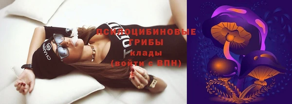 героин Алзамай