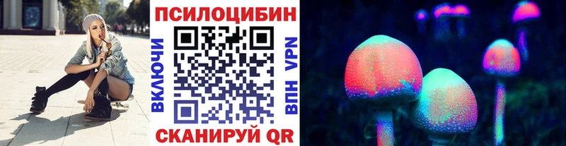 omg как войти  Каневская  Галлюциногенные грибы Magic Shrooms 